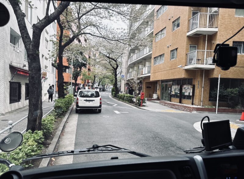 タイミーの駐禁対策バイトでトラック車内待機中、スマホをいじりながらふと外を見ると、フロントガラス越しに偶然見つけた満開の桜が綺麗で撮った写真。